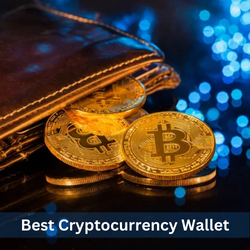 Best Cryptocurrency Wallet (1)
