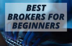 Best Brokers For Beginners