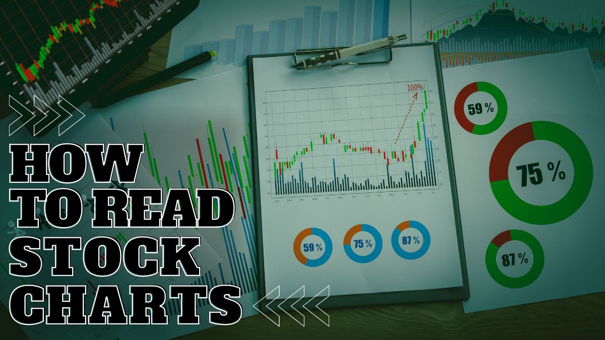 How To Read Stock Charts: A Beginner's Guide For 2024